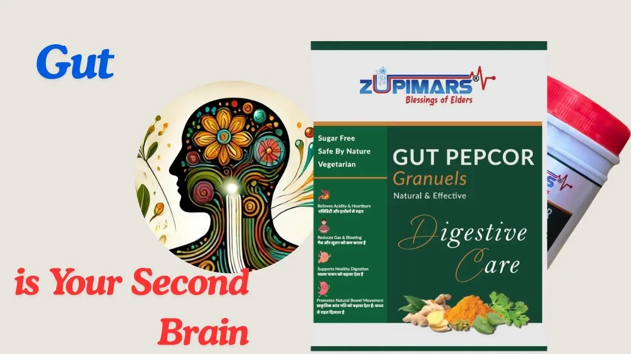 Product image of Zupimars GutPepcor: Ayurvedic granules for fast digestive relief, reducing acidity, chronic bloating, and restoring gut health.