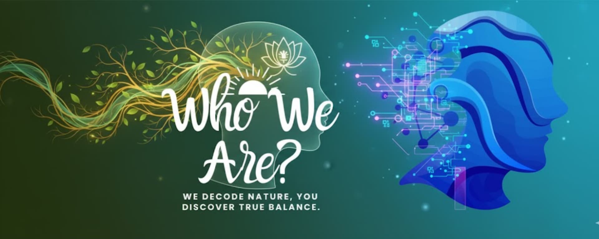 Zupimars Discover